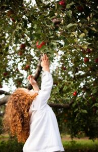 pige plukker æbler